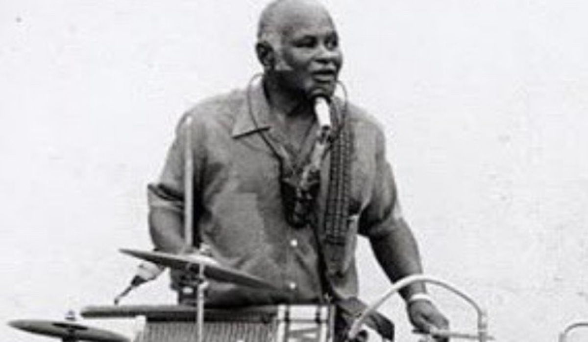 WBSS MediaWashboard Willie